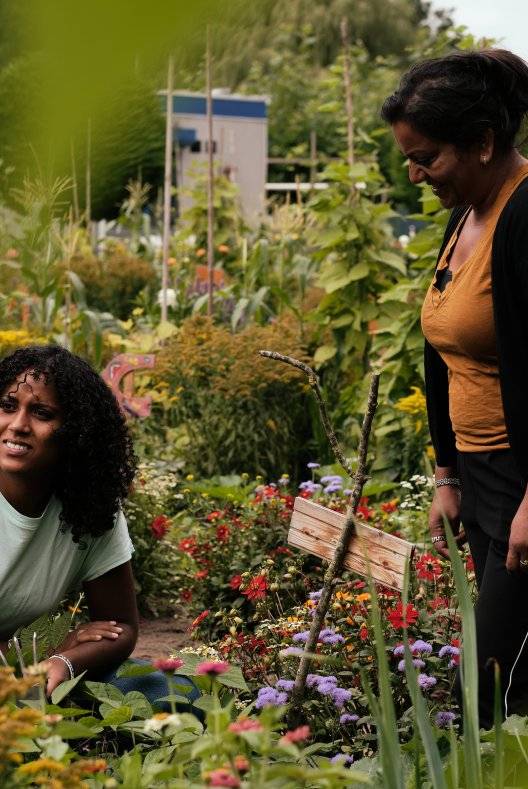 Workshop Balkongroente & geneeskruiden, Gardening workshop & learning about the power of herbs