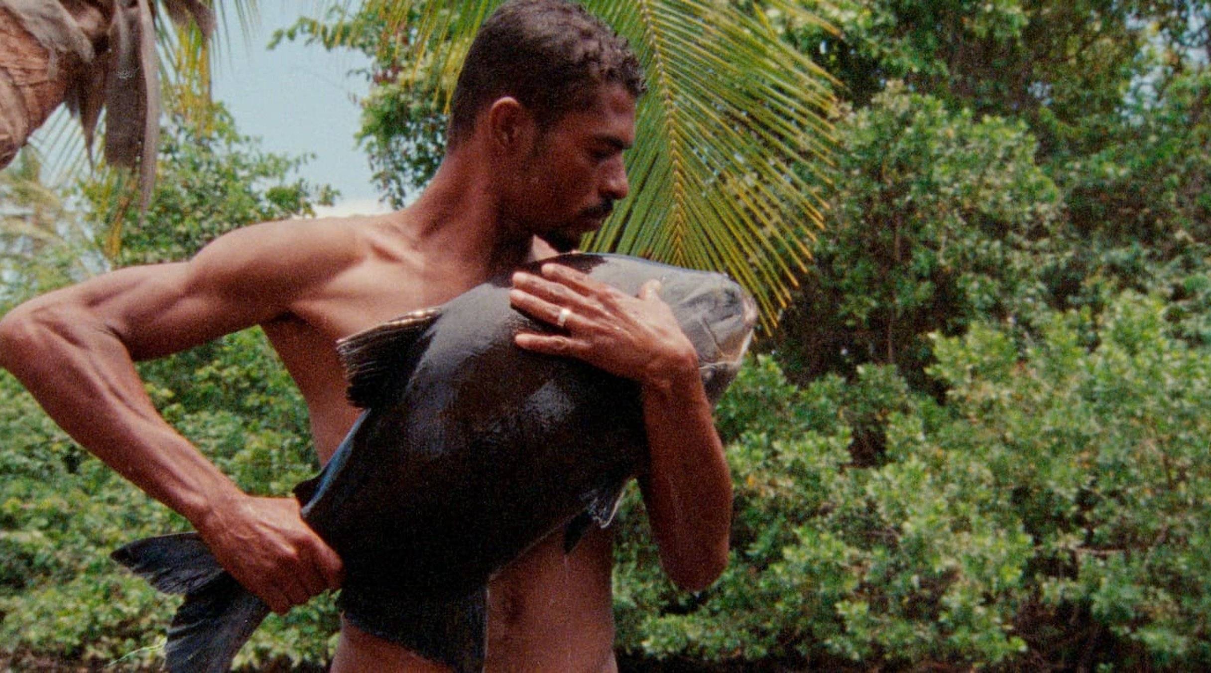 O Peixe