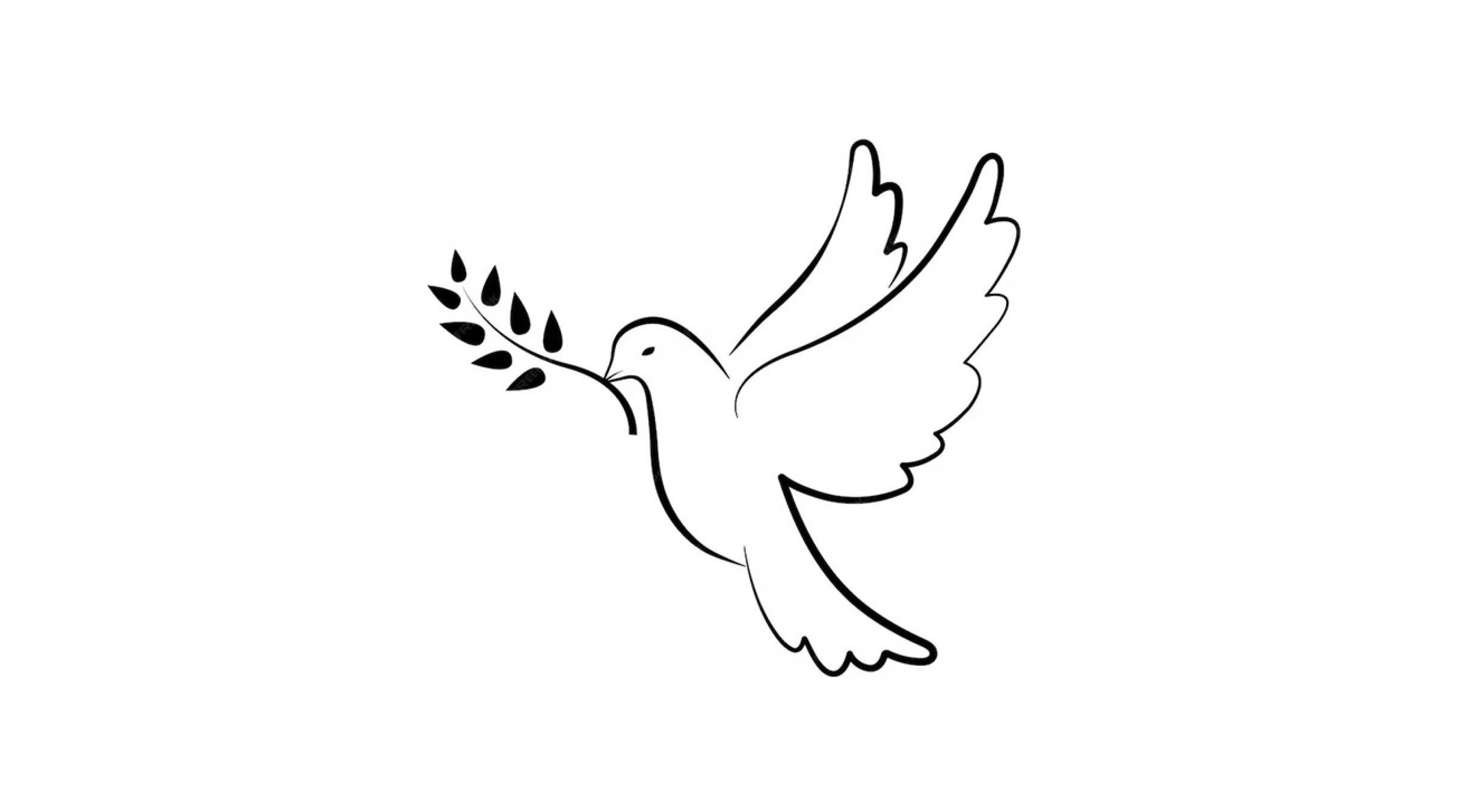 statement of support